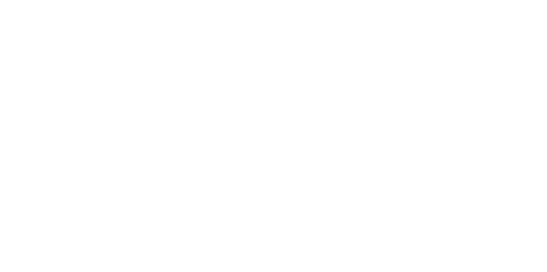 Heron Academy